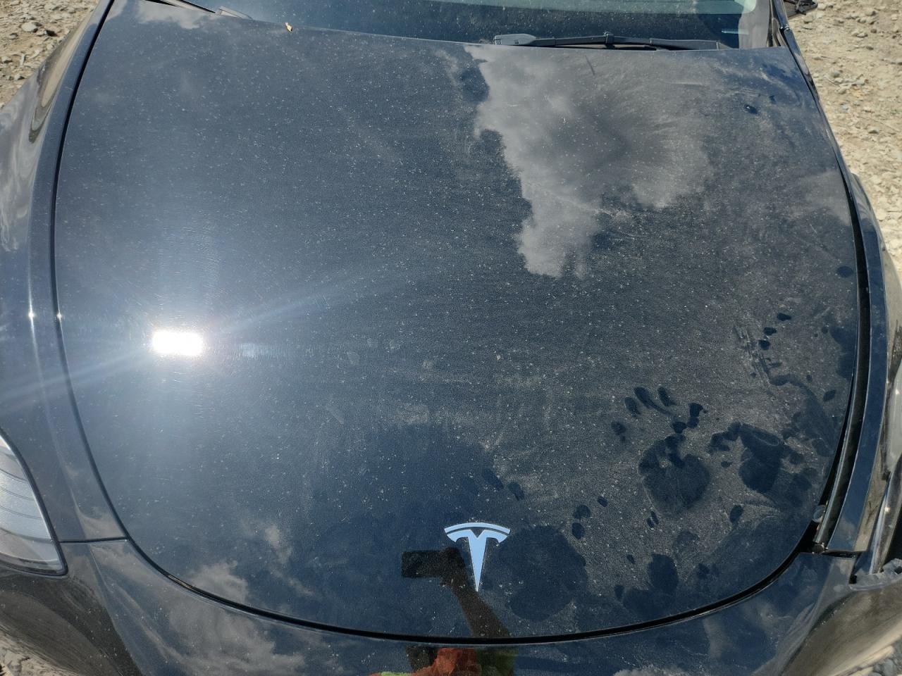 2023 Tesla Model Y VIN: 7SAYGAEE1PF805187 Lot: 64829605