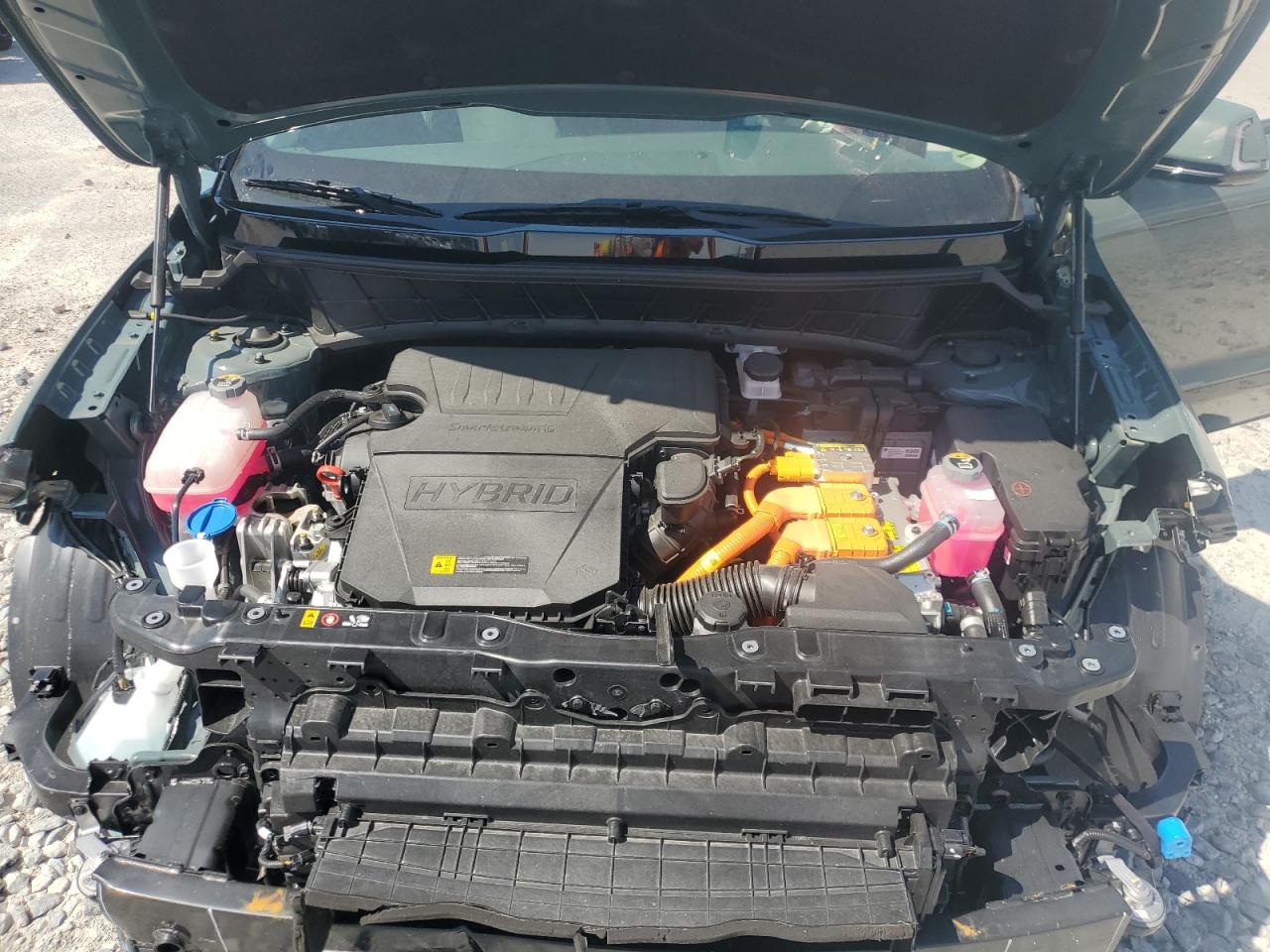 2024 Kia Niro Ex VIN: KNDCR3LE0R5176624 Lot: 63662765