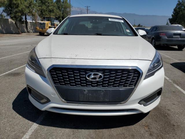 Sedans HYUNDAI SONATA 2016 Biały