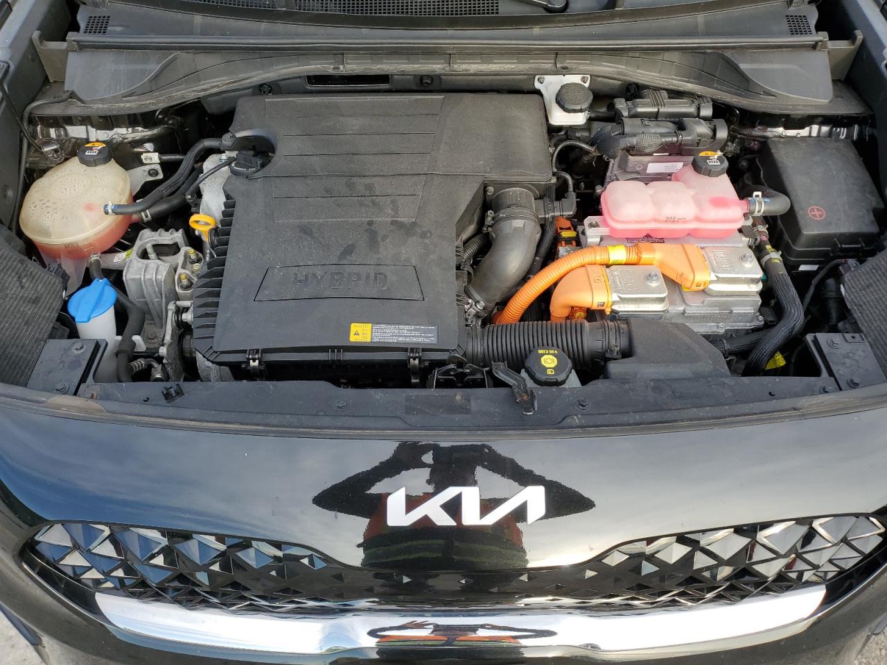 2022 Kia Niro Ex Premium VIN: KNDCE3LC3N5522654 Lot: 64048695