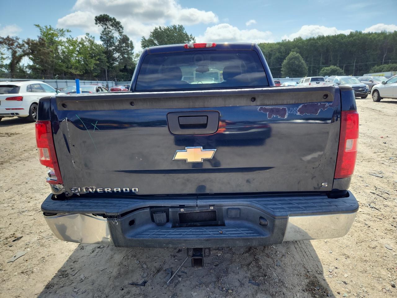 2009 Chevrolet Silverado C1500 VIN: 3GCEC13C19G167419 Lot: 63576705