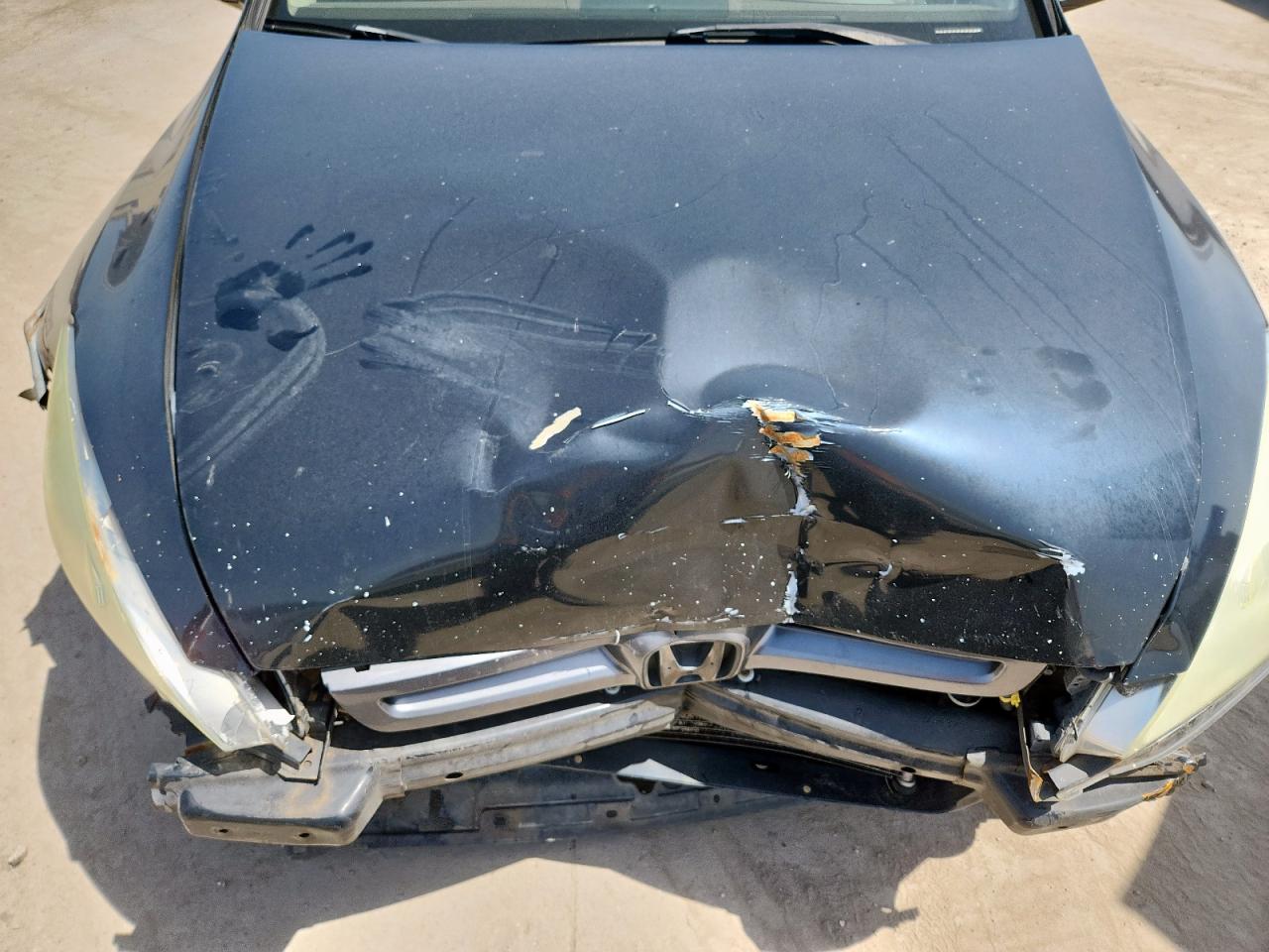 2005 Honda Accord Ex VIN: 1HGCM56845A055808 Lot: 65455465