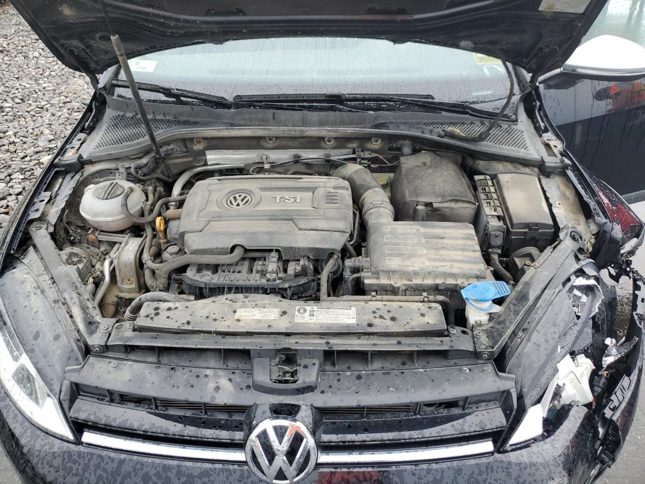 2017 Volkswagen Golf Alltrack S VIN: 3VWH17AU7HM506361 Lot: 63438055