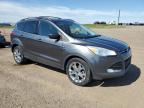 2015 FORD ESCAPE SE   à vendre chez Copart AB - CALGARY