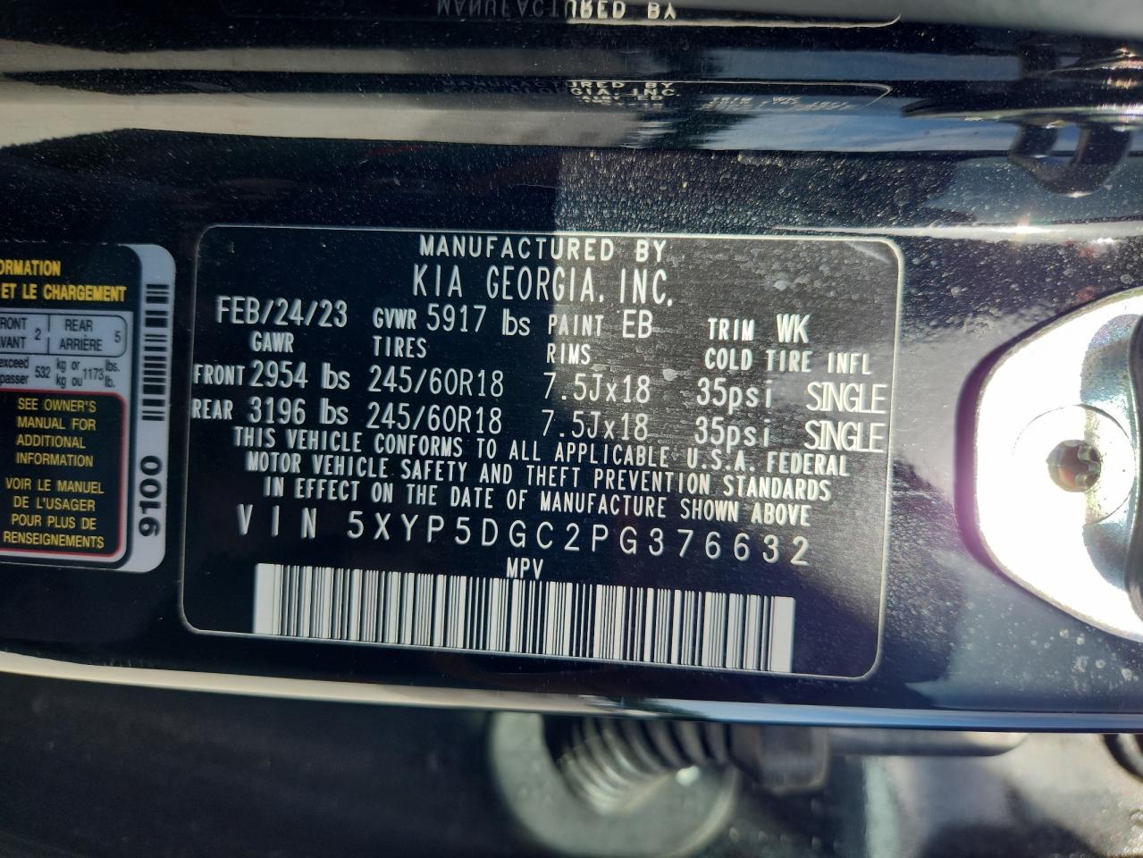 2023 Kia Telluride Sx VIN: 5XYP5DGC2PG376632 Lot: 63259705