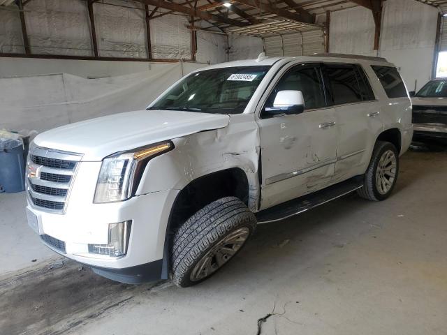 Паркетники CADILLAC ESCALADE 2016 Белый