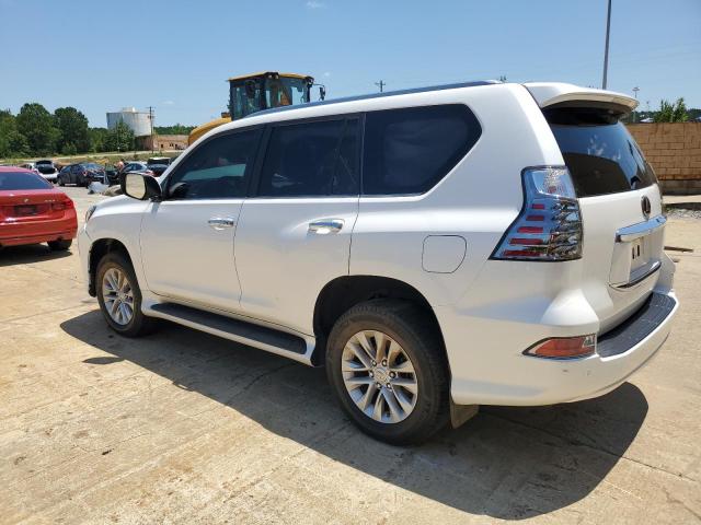  LEXUS GX 2023 White