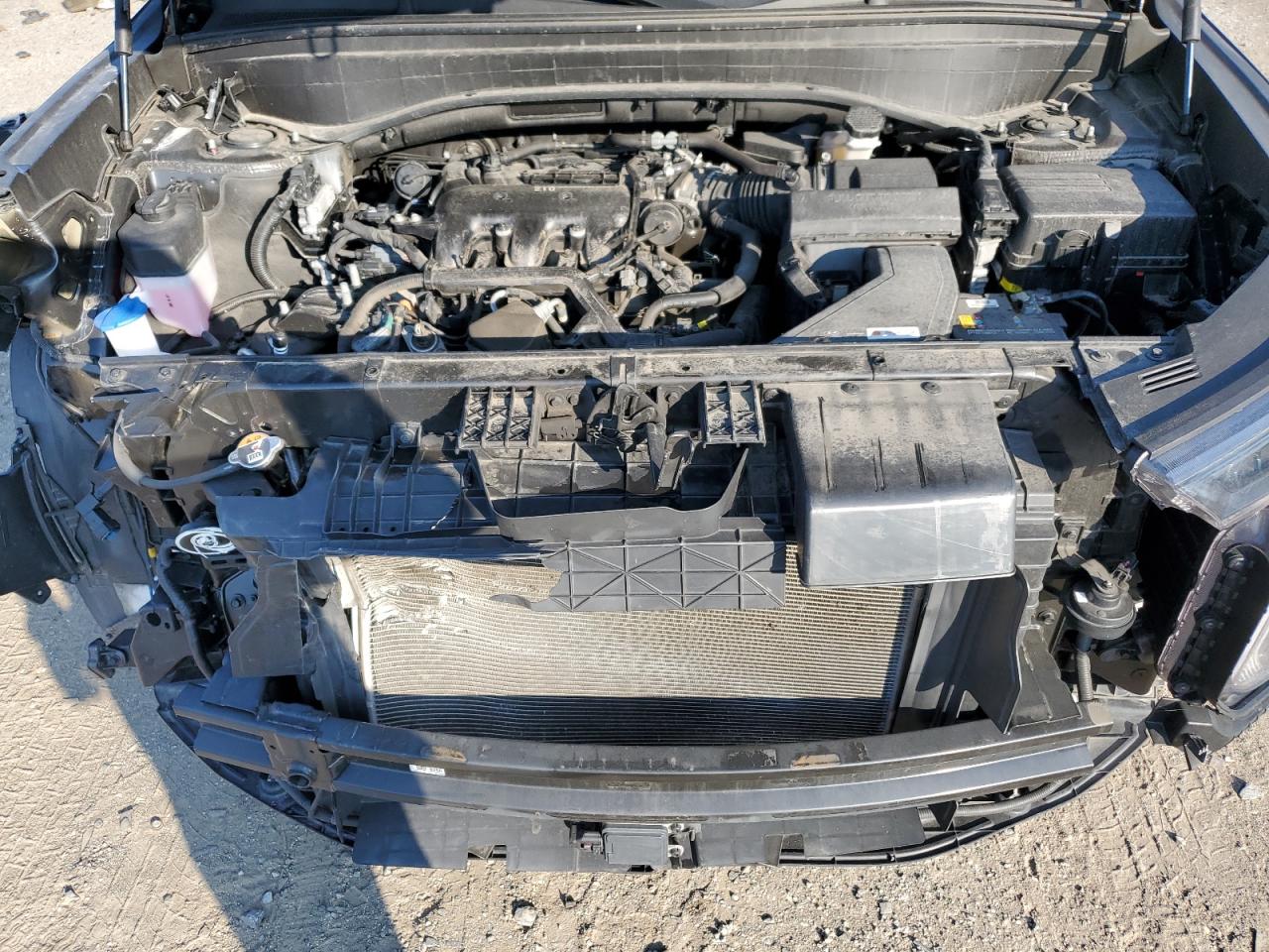 2021 Hyundai Palisade Sel VIN: KM8R4DHE9MU232920 Lot: 65946795