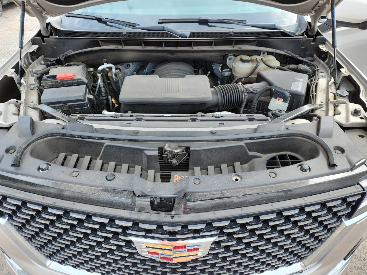 2021 Cadillac Escalade Luxury VIN: 1GYS4AKL5MR107213 Lot: 63503025