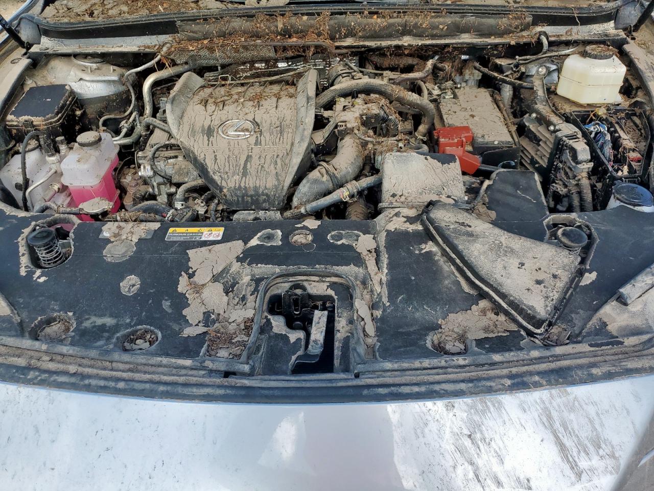 2024 Lexus Rx 350 Base VIN: 2T2BAMBA4RC048960 Lot: 64751515