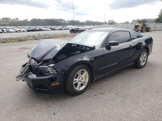 2013 Ford Mustang