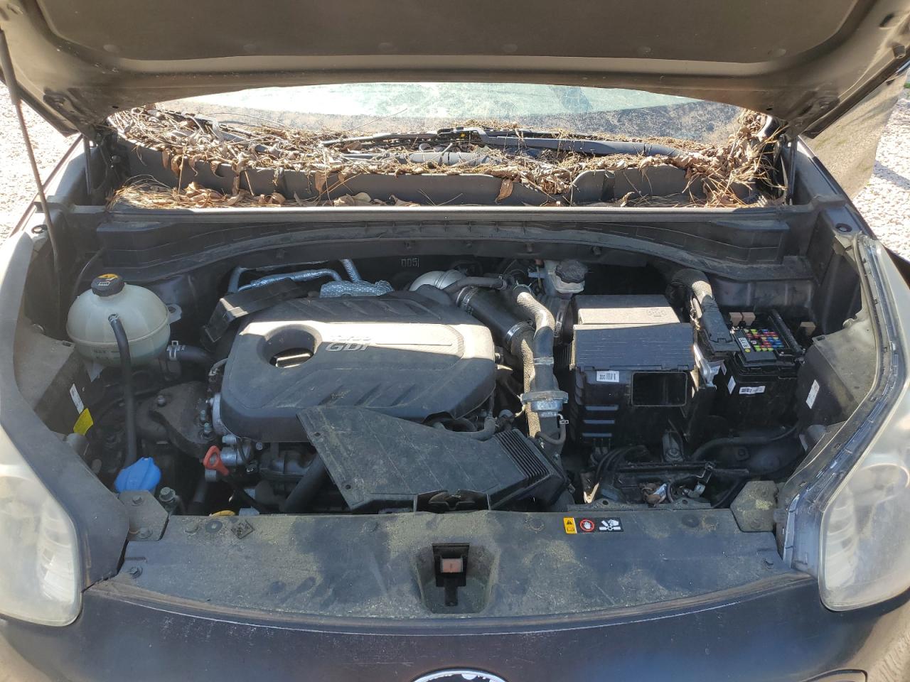 kndprca60j7437367 KNDPRCA60J7437367 2018 Kia Sportage Sx