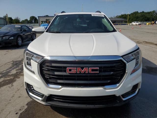  GMC TERRAIN 2022 Biały