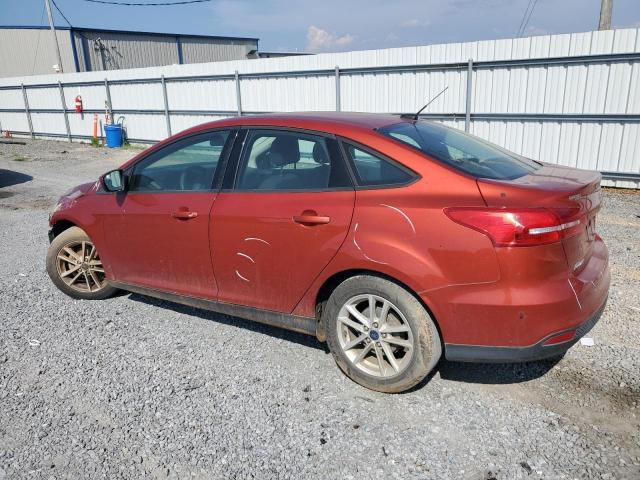  FORD FOCUS 2018 Burgundy