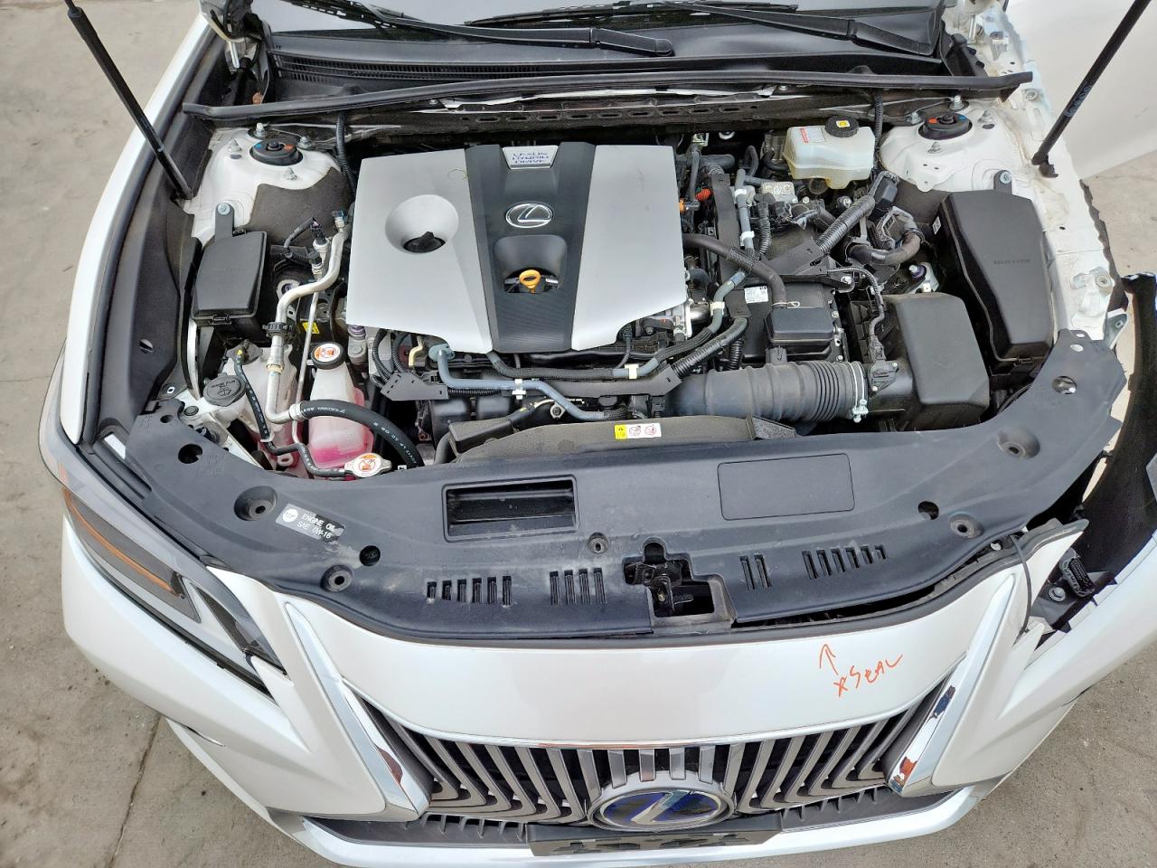 2021 Lexus Es 300H Ultra Luxury VIN: 58AFA1C14MU007912 Lot: 63513595