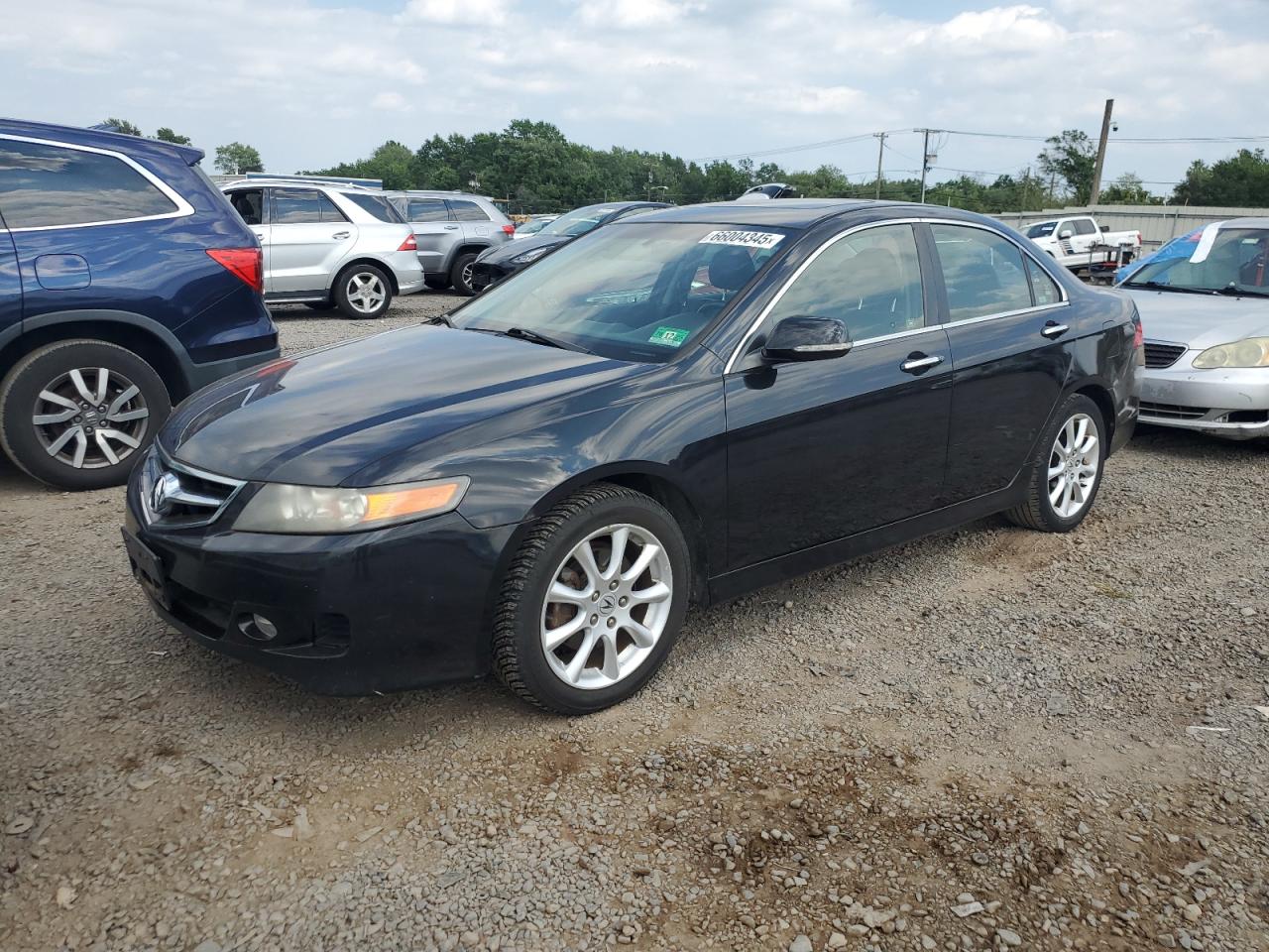 jh4cl96996c002768 JH4CL96996C002768 2006 Acura Tsx