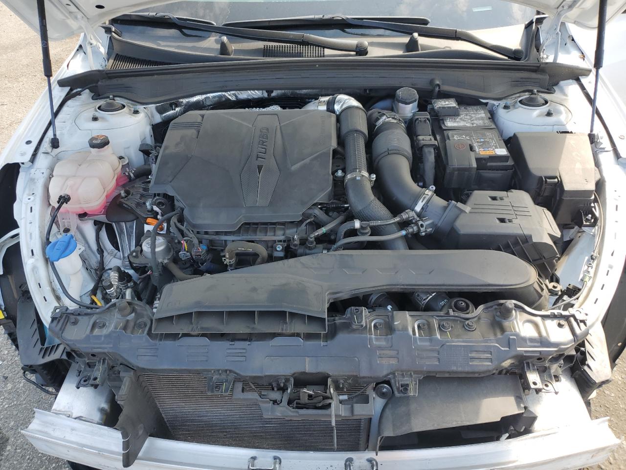 2024 Kia K5 Gt VIN: 5XXG44J84RG245054 Lot: 65468915
