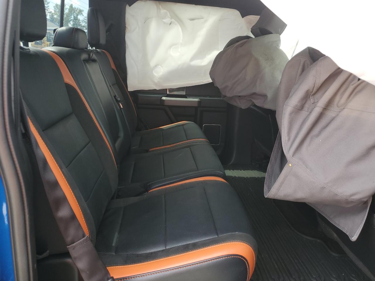 2017 Ford F150 Raptor VIN: 1FTFW1RG0HFB61276 Lot: 67124775