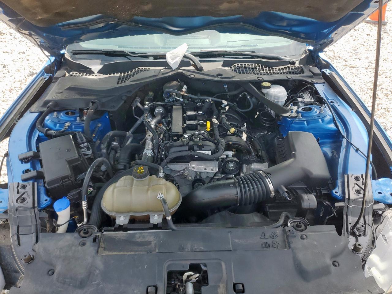 2021 Ford Mustang VIN: 1FATP8UH4M5116615 Lot: 64614455