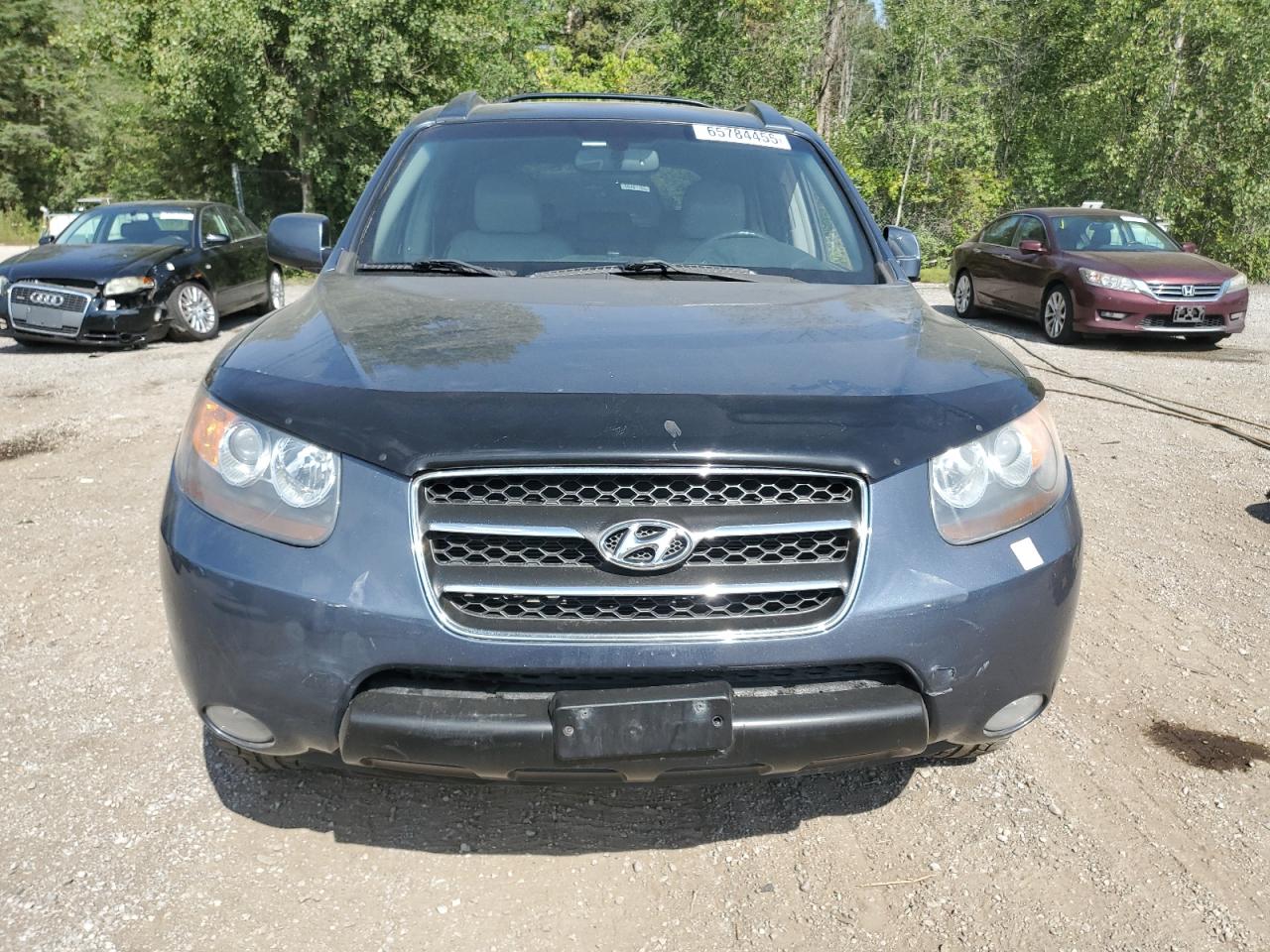 2007 Hyundai Santa Fe Se VIN: 5NMSH73EX7H125728 Lot: 65784455