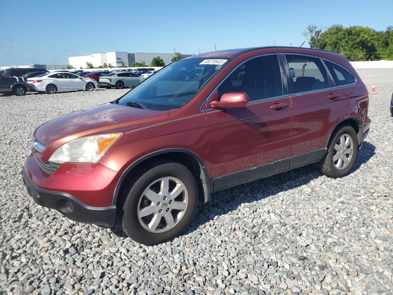 2008 Honda Cr-V Exl VIN: JHLRE38738C038153 Lot: 66078945