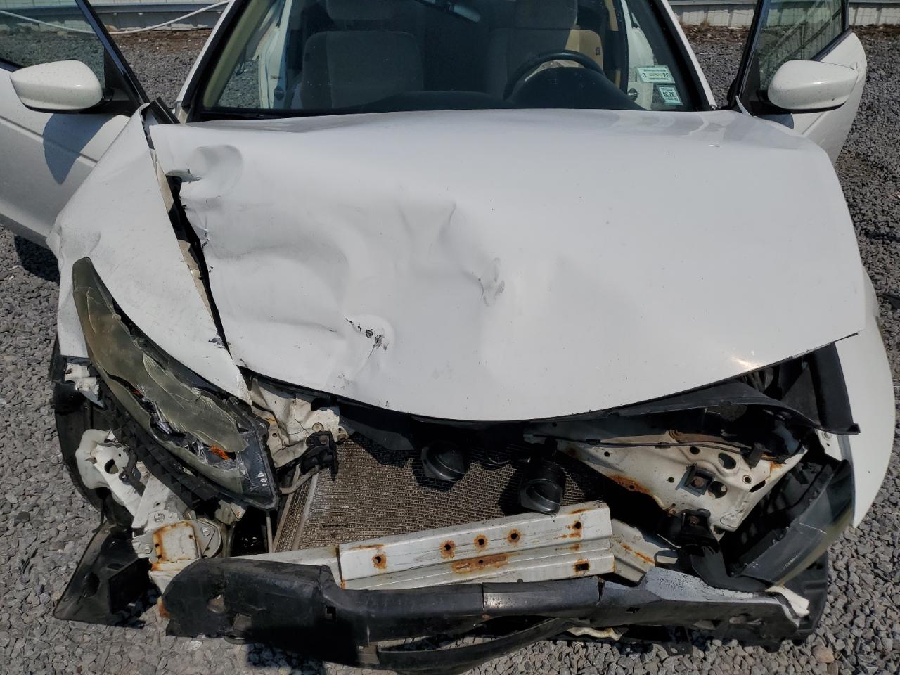 2010 Honda Accord Lx VIN: 1HGCS1B3XAA018507 Lot: 66359655