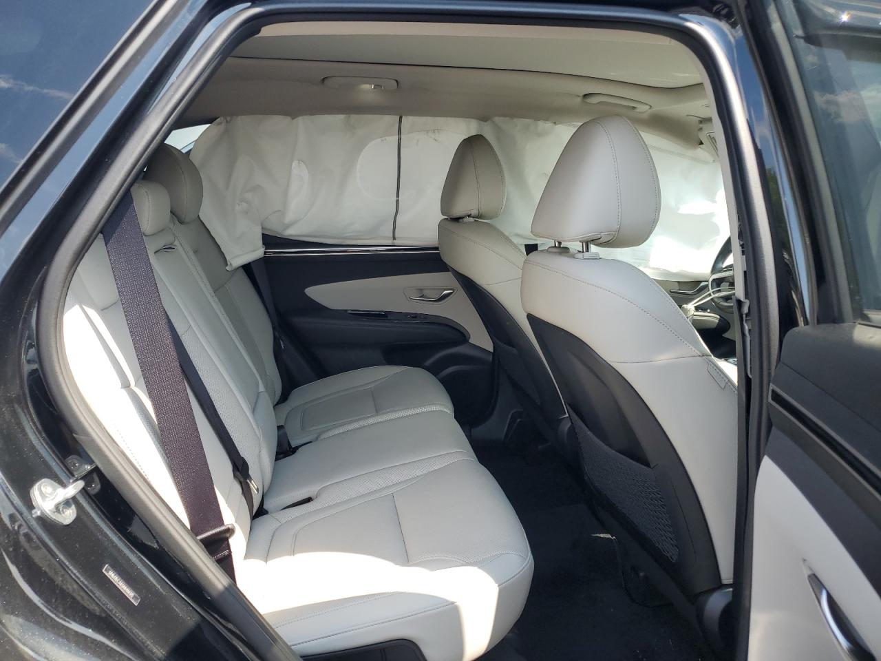 2022 Hyundai Tucson Limited VIN: 5NMJECAE5NH114312 Lot: 65021595