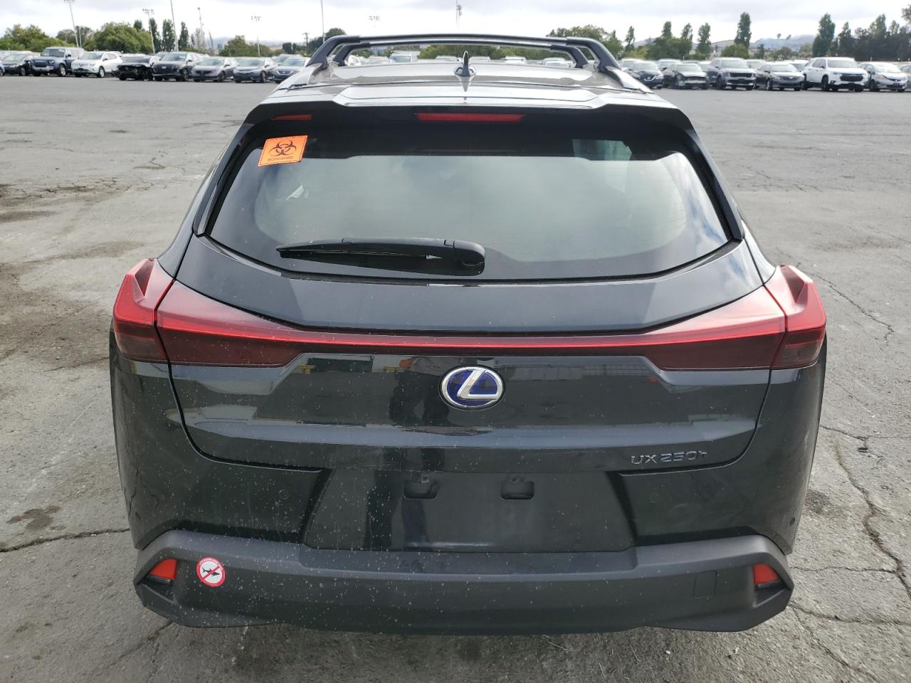 2021 Lexus Ux 250H VIN: JTHP9JBH2M2046029 Lot: 64327015
