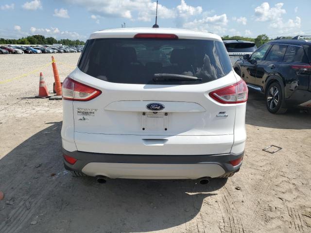 Паркетники FORD ESCAPE 2015 Белы
