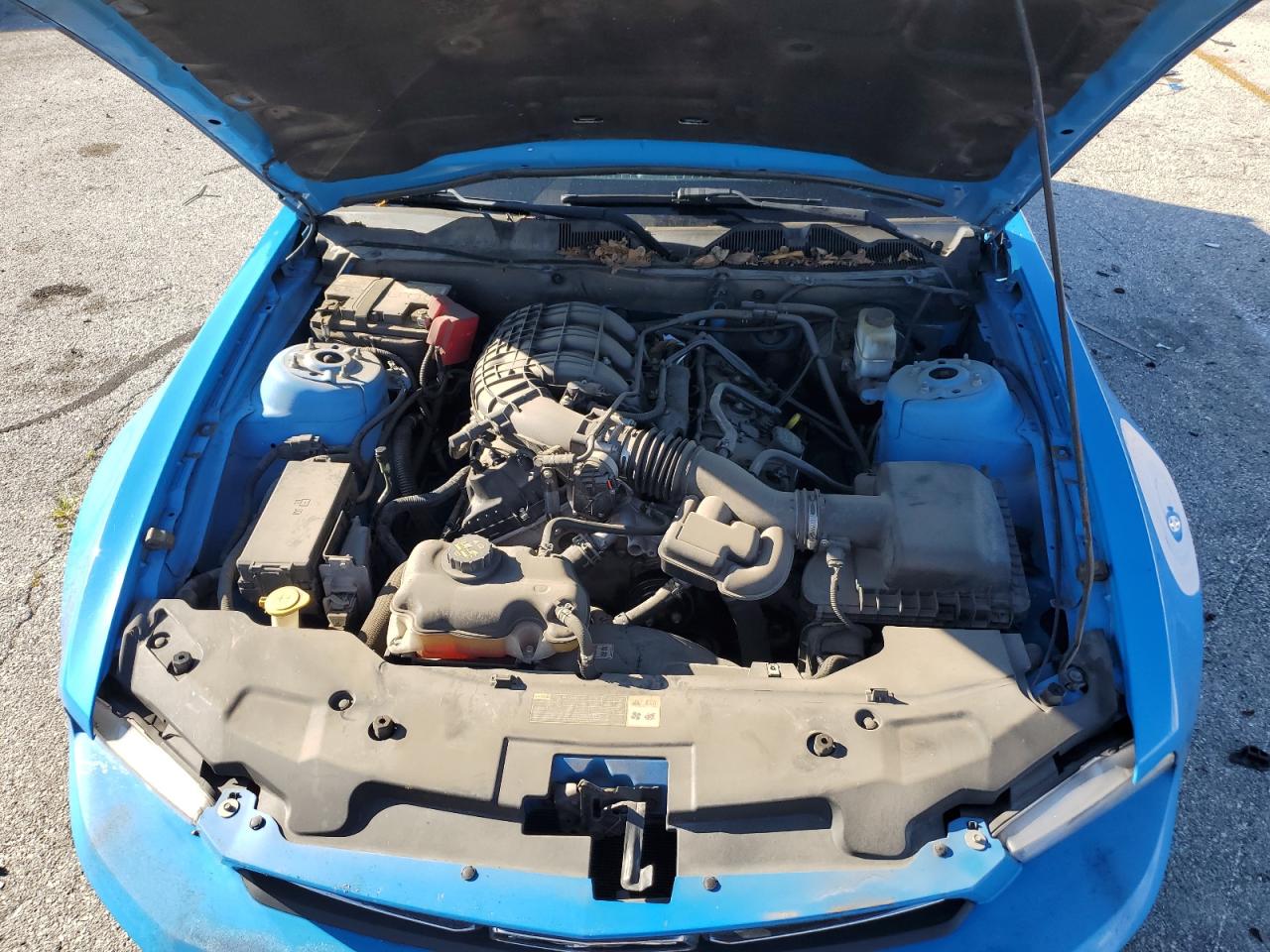 2012 Ford Mustang VIN: 1ZVBP8AM5C5226396 Lot: 63661985