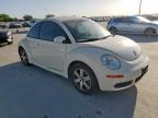 2006 VOLKSWAGEN NEW BEETLE TDI   for sale at Copart TX - DALLAS