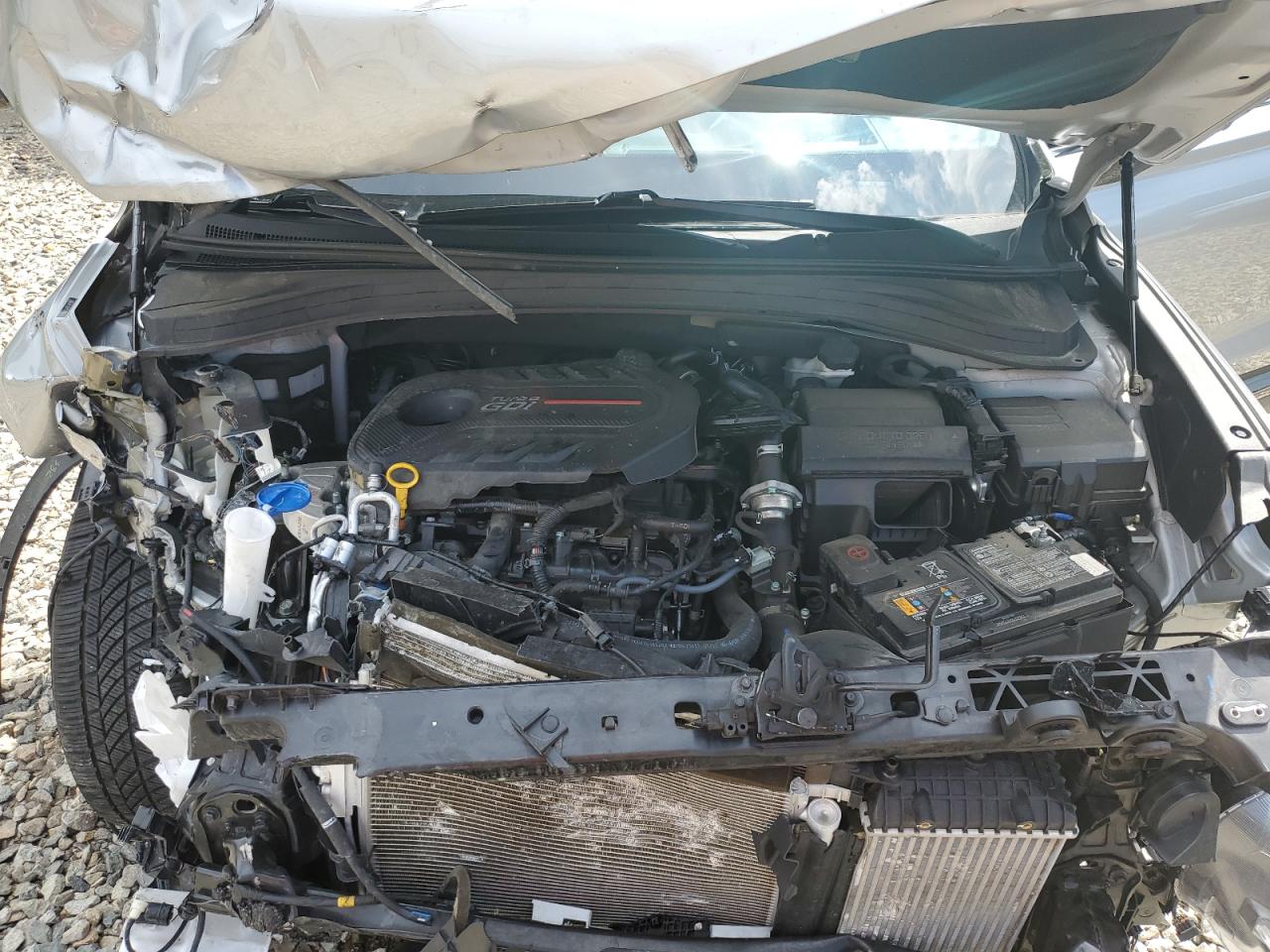 2020 Hyundai Santa Fe Limited VIN: 5NMS5CAA9LH293002 Lot: 63410745