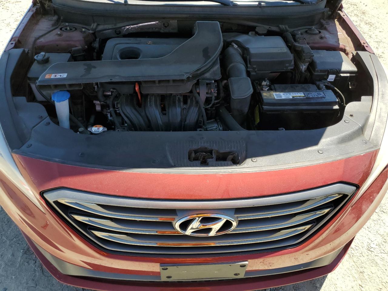 2015 Hyundai Sonata Sport VIN: 5NPE34AF9FH222460 Lot: 65141045