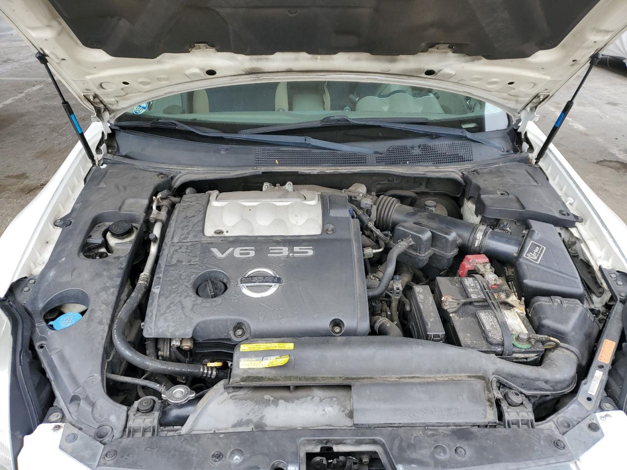 2005 Nissan Maxima Se VIN: 1N4BA41E55C843100 Lot: 64646645
