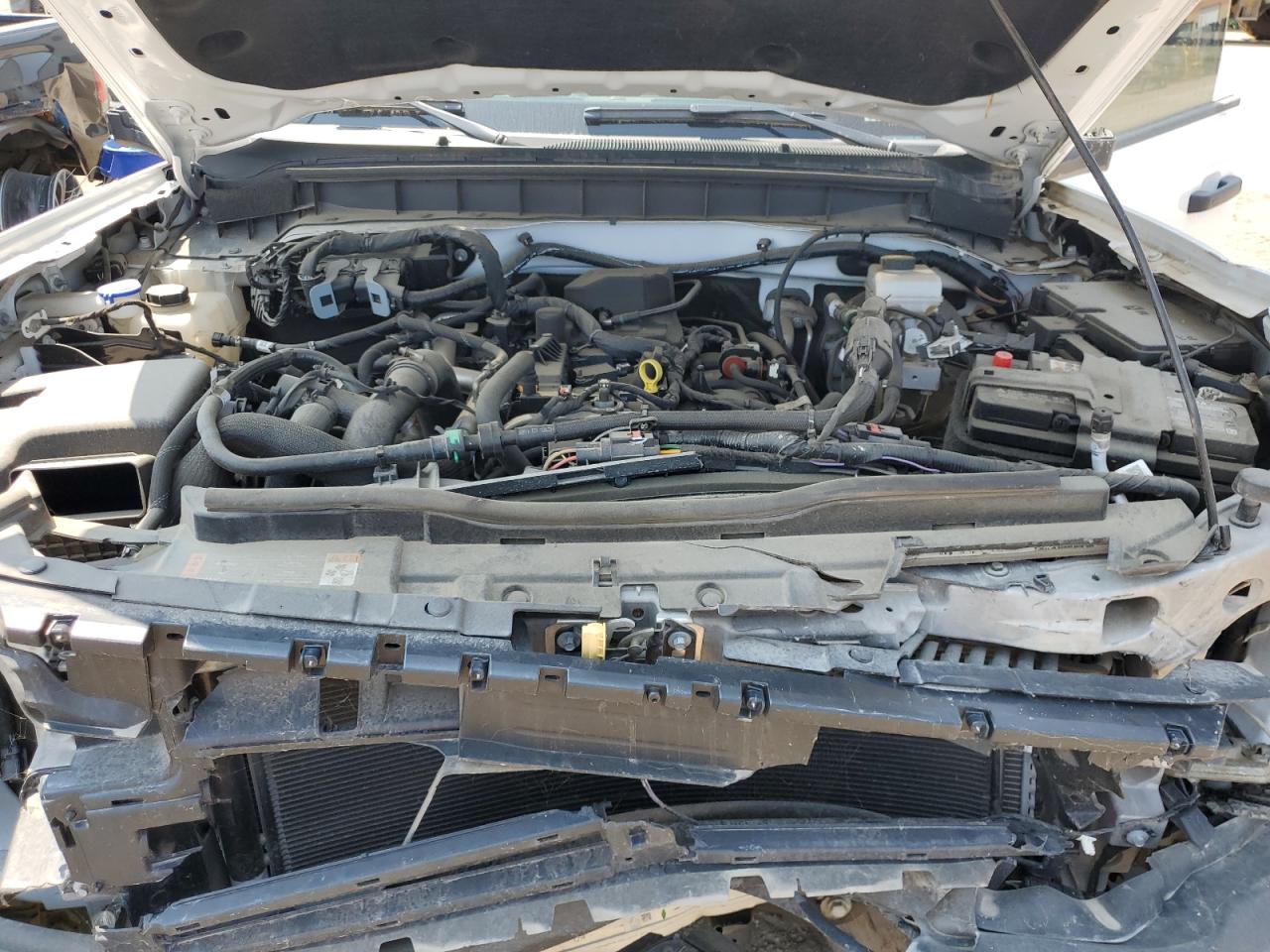 2024 Ford Bronco Big Bend VIN: 1FMDE7BH7RLA34989 Lot: 65261385