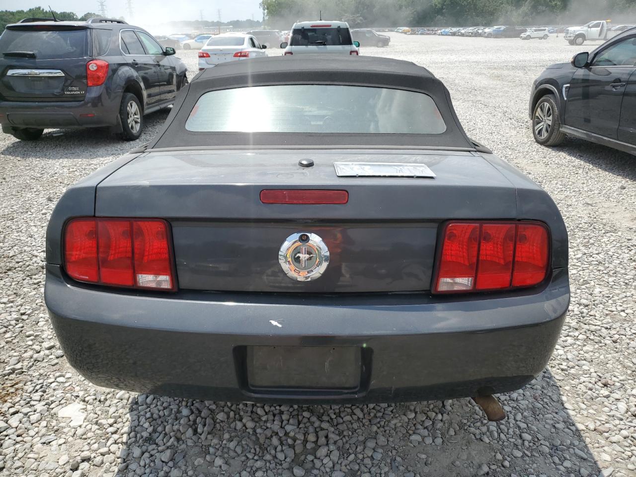 2009 Ford Mustang VIN: 1ZVHT84N895121810 Lot: 65813815