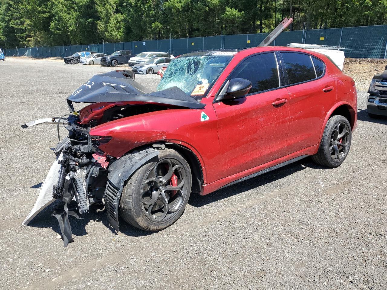 2019 Alfa Romeo Stelvio Quadrifoglio