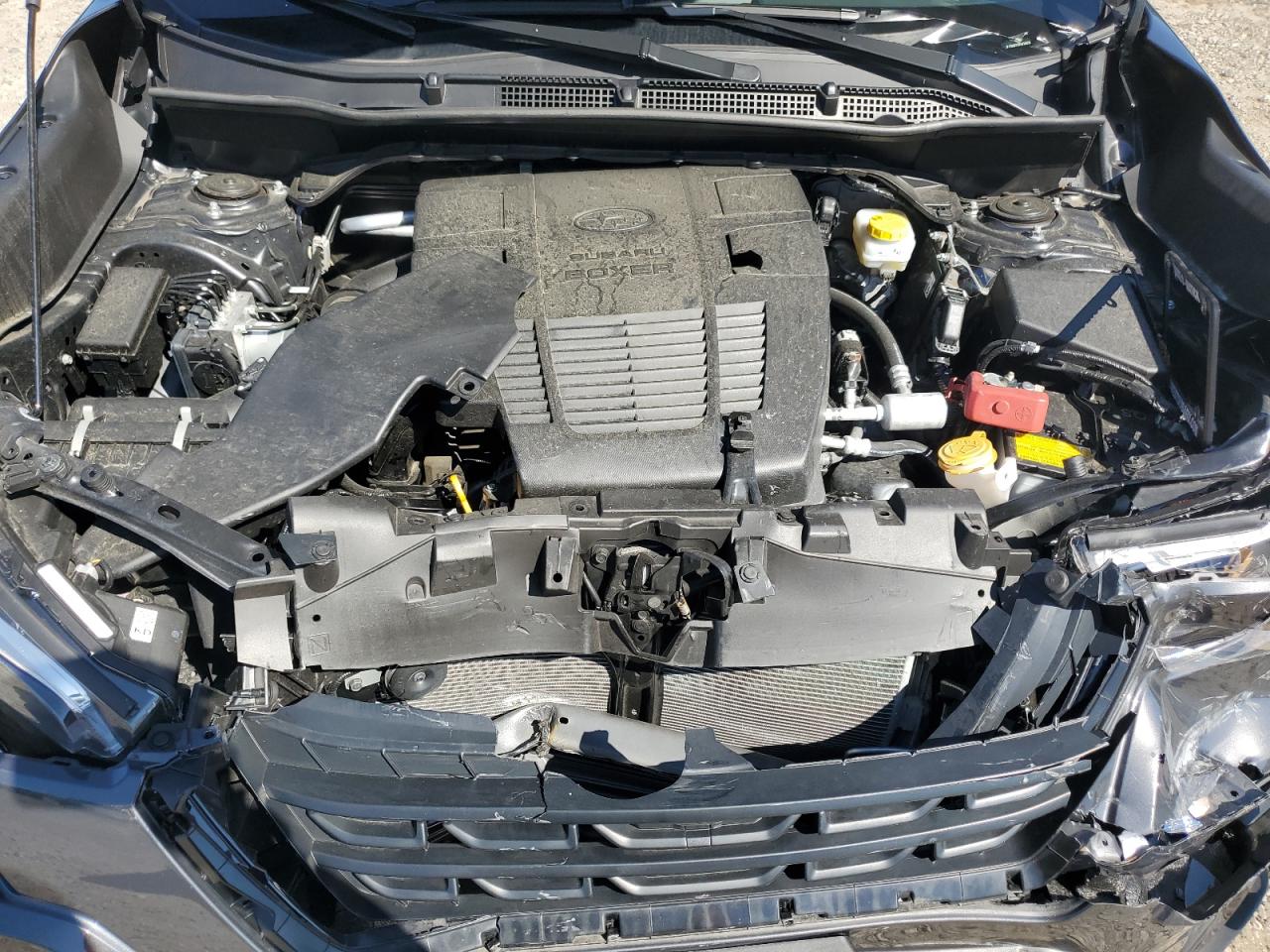 jf2skaec8ph474609 JF2SKAEC8PH474609 2023 Subaru Forester Premium