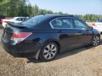 2010 HONDA ACCORD EXL   à vendre chez Copart ON - COOKSTOWN