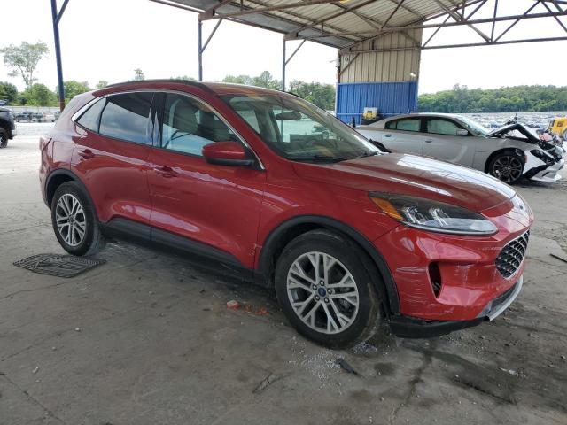  FORD ESCAPE 2022 Czerwony