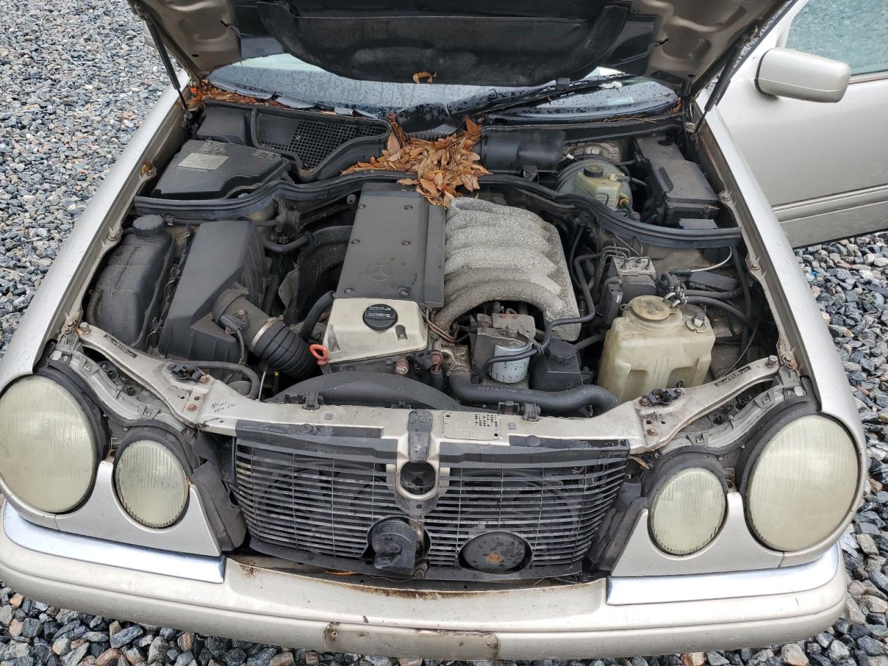 1998 Mercedes-Benz E 300Td VIN: WDBJF25F6WA649427 Lot: 63206155