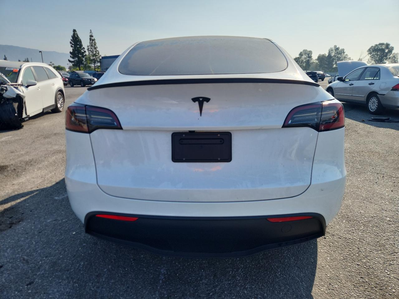 2024 Tesla Model Y VIN: 7SAYGDED6RF167241 Lot: 64602305