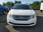2013 HONDA ODYSSEY EXL à vendre chez Copart CT - HARTFORD SPRINGFIELD