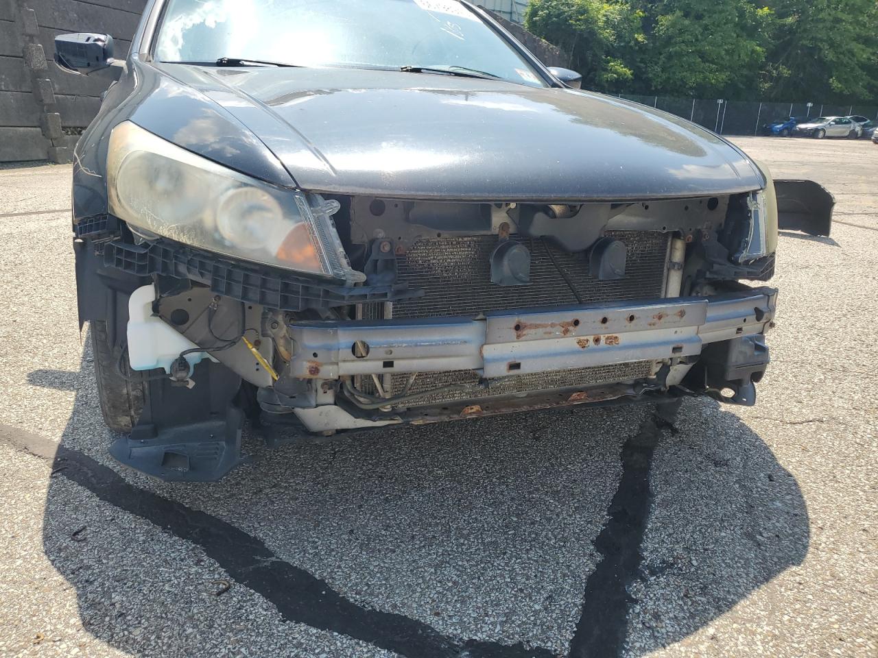 2009 Honda Accord Exl VIN: 1HGCP26889A179754 Lot: 66798945