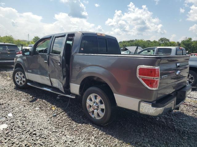  FORD F-150 2013 Szary