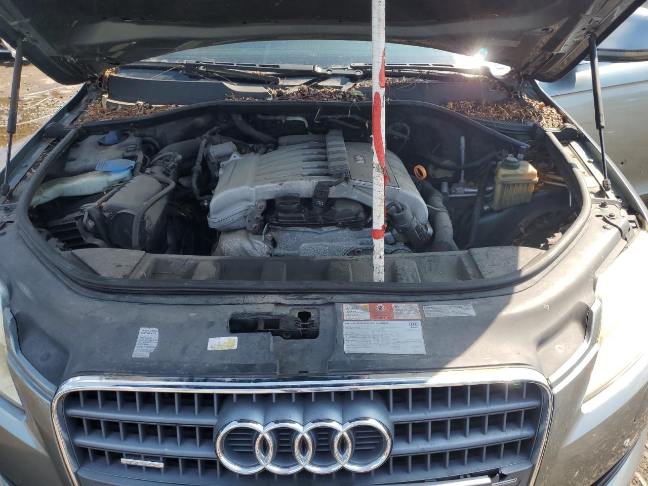 2007 Audi Q7 3.6 Quattro Premium VIN: WA1BY74L97D066705 Lot: 64004915