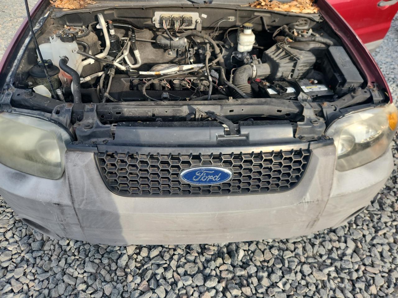 2007 Ford Escape Xls VIN: 1FMYU02Z87KA63117 Lot: 66012405