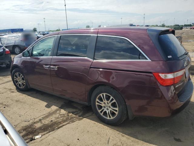 Minivans HONDA All Models 2013 Maroon