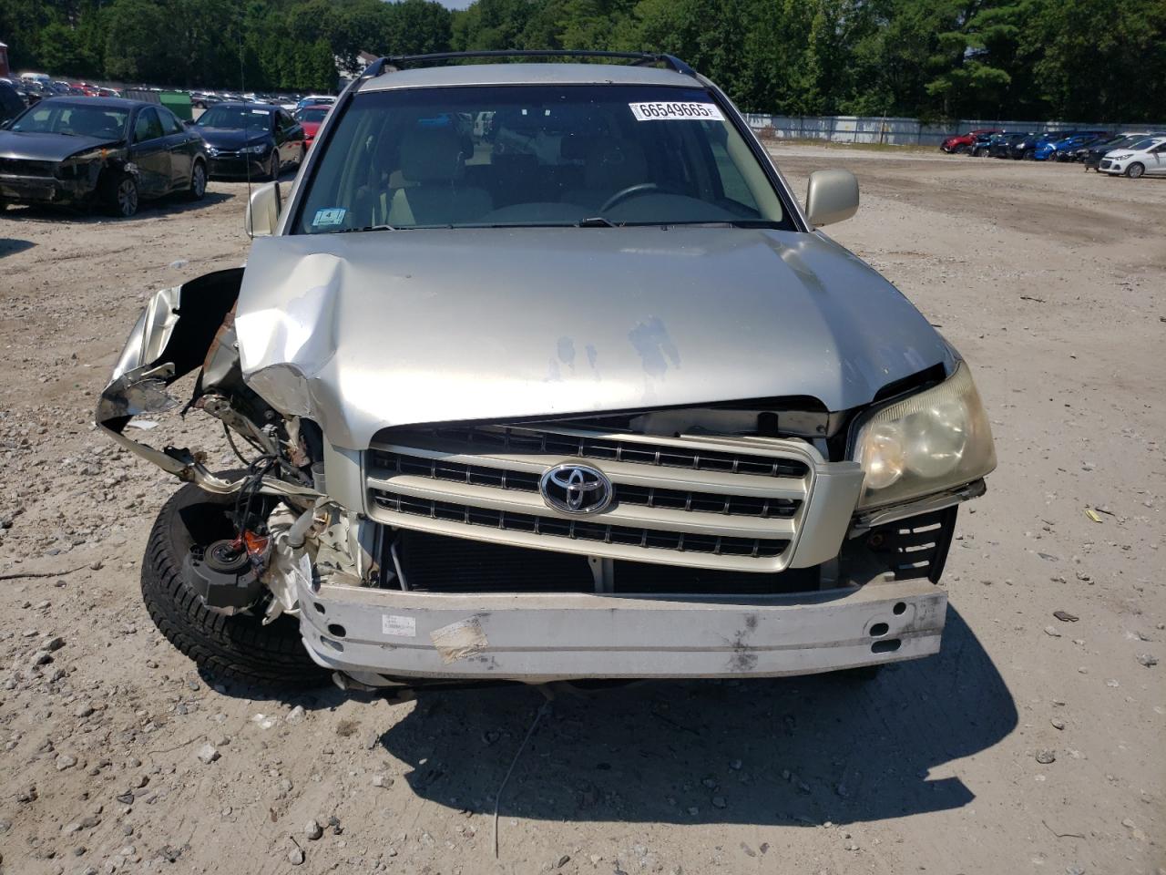 2002 Toyota Highlander VIN: JTEGD21AX20041787 Lot: 66549665