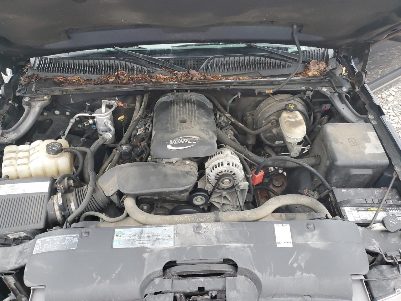 2005 Chevrolet Silverado C1500 VIN: 1GCEC19T45Z351903 Lot: 64663795